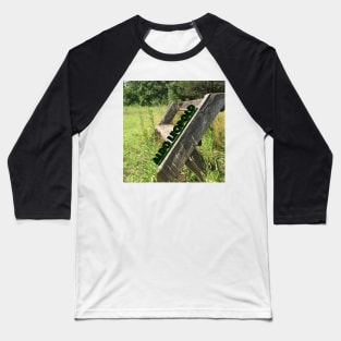 Aldo Leopold Bench Baseball T-Shirt
